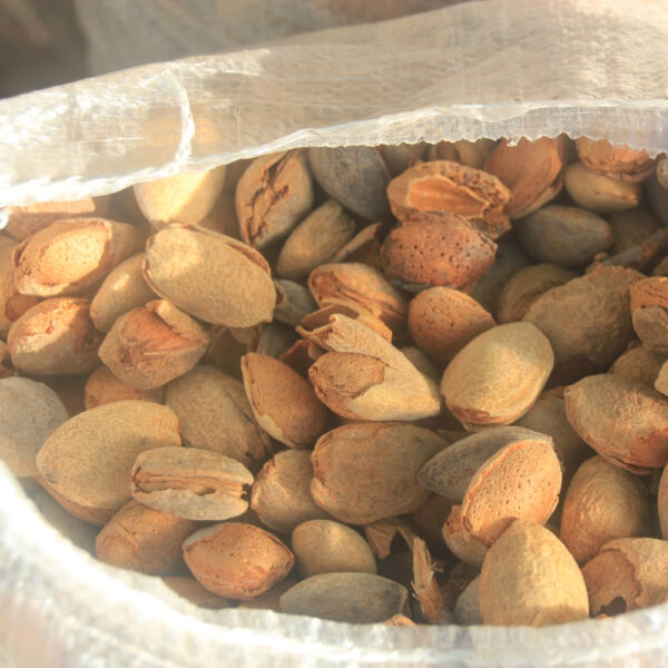 Amandes